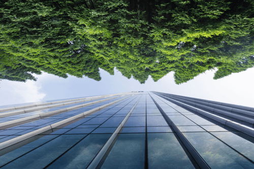 Acciones de impacto social Up Sí Vale que ...