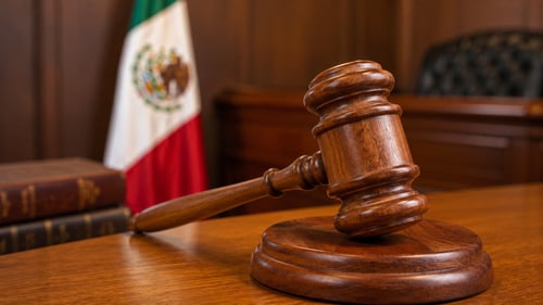 ¿Qué dice el artículo 172 de la Ley del ...